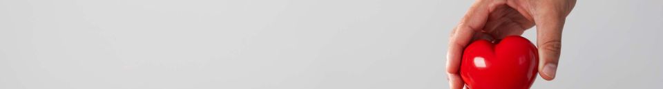 Transplantationsrecht