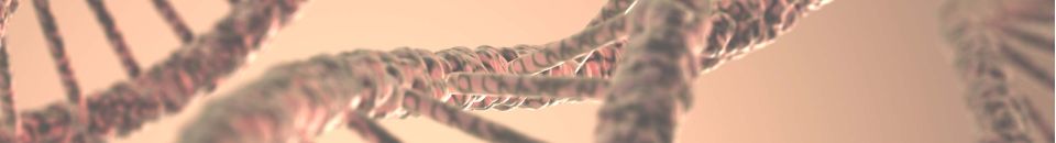 Gentechnikrecht & Bioethik